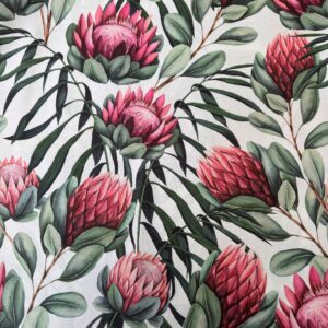 Pink, green protea #1