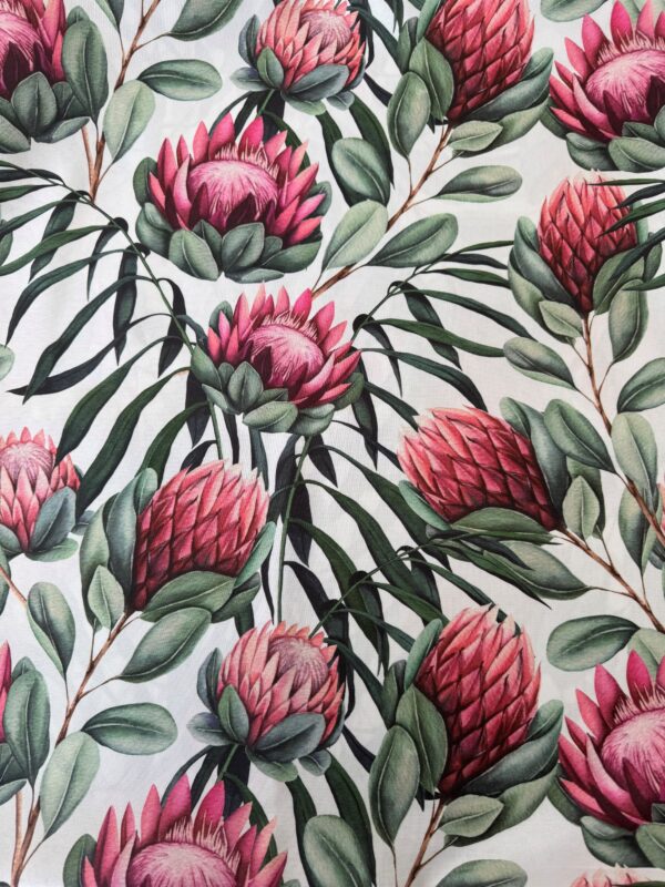 Pink, green protea #1